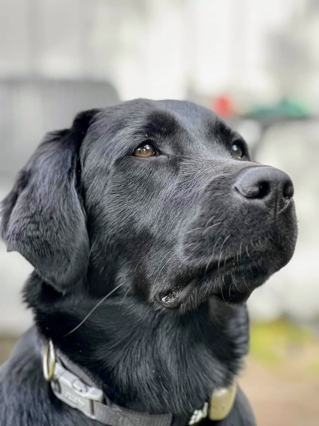 Who is David? So let me tell you my story.